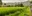 a house in a field of grass