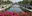 a water with pink flowers and buildings