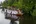 Boat trip