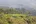 Dotted amongst the tea plantation