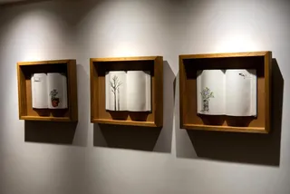 Curated art